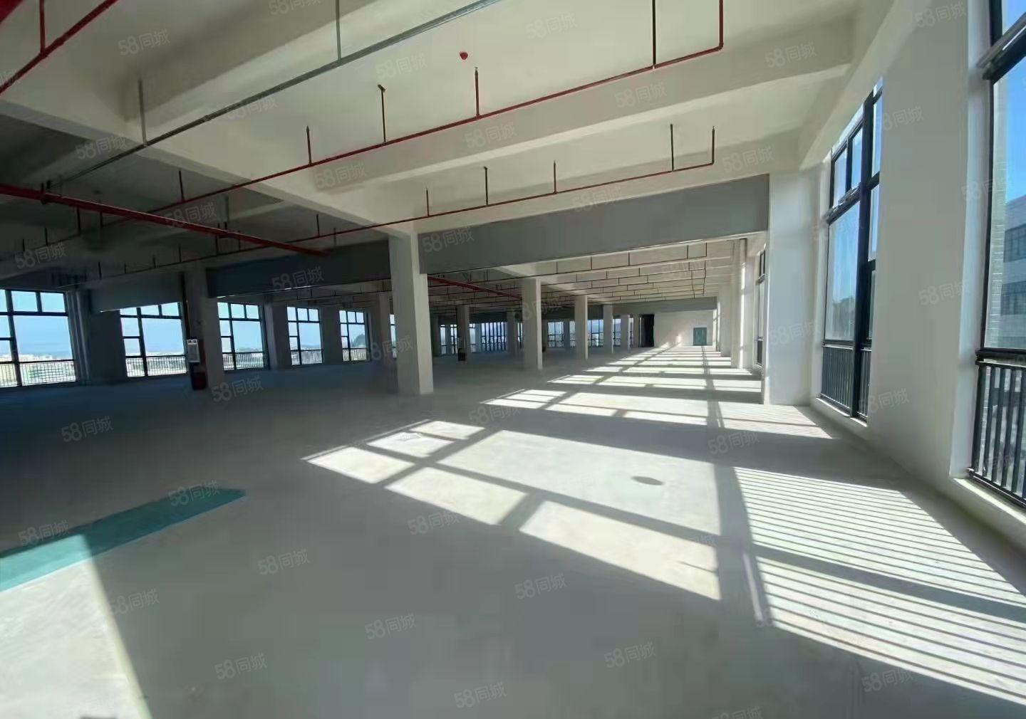 塘厦镇林村新出原房东标厂房18000平米出租