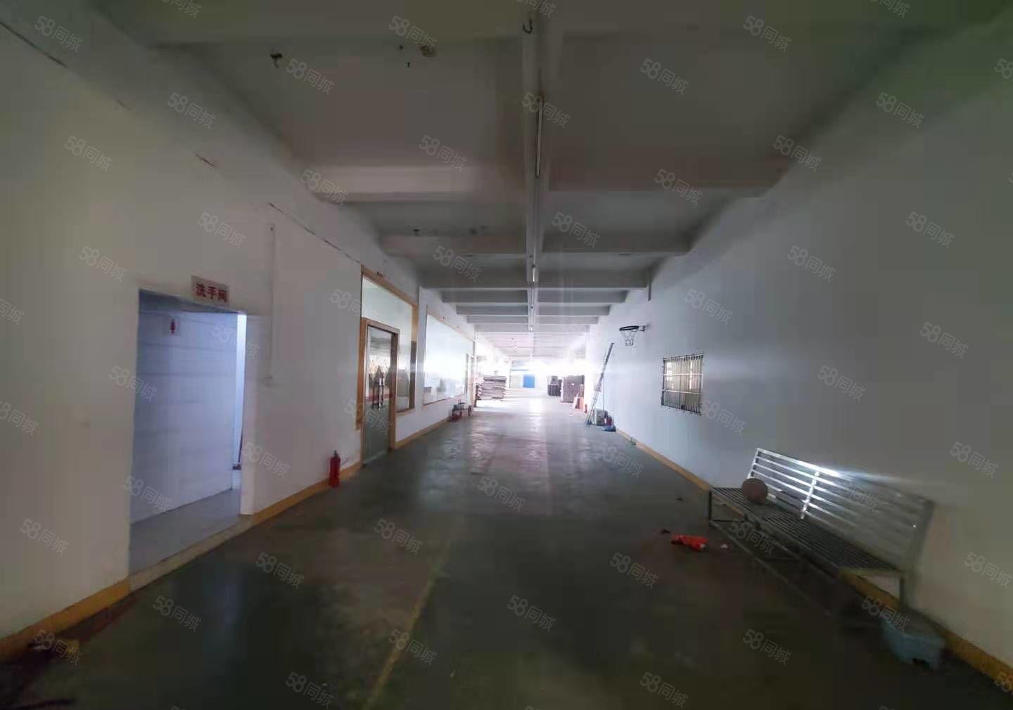 塘厦新出九成新花园式厂房