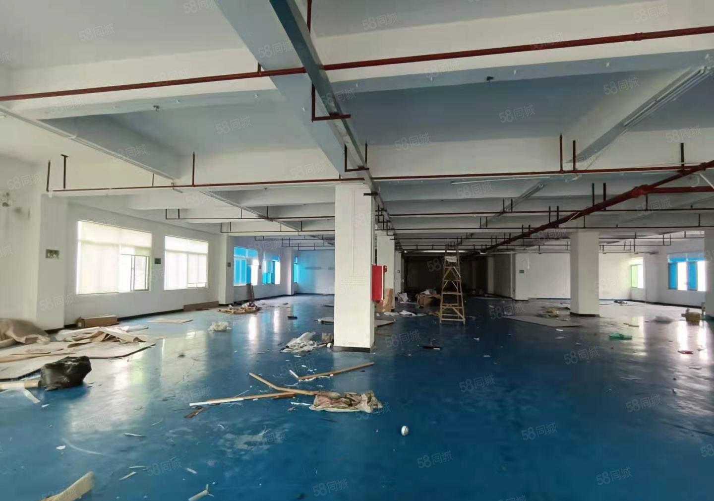 塘厦原房东无尘车间出租，近高速口，厂房花园式厂房