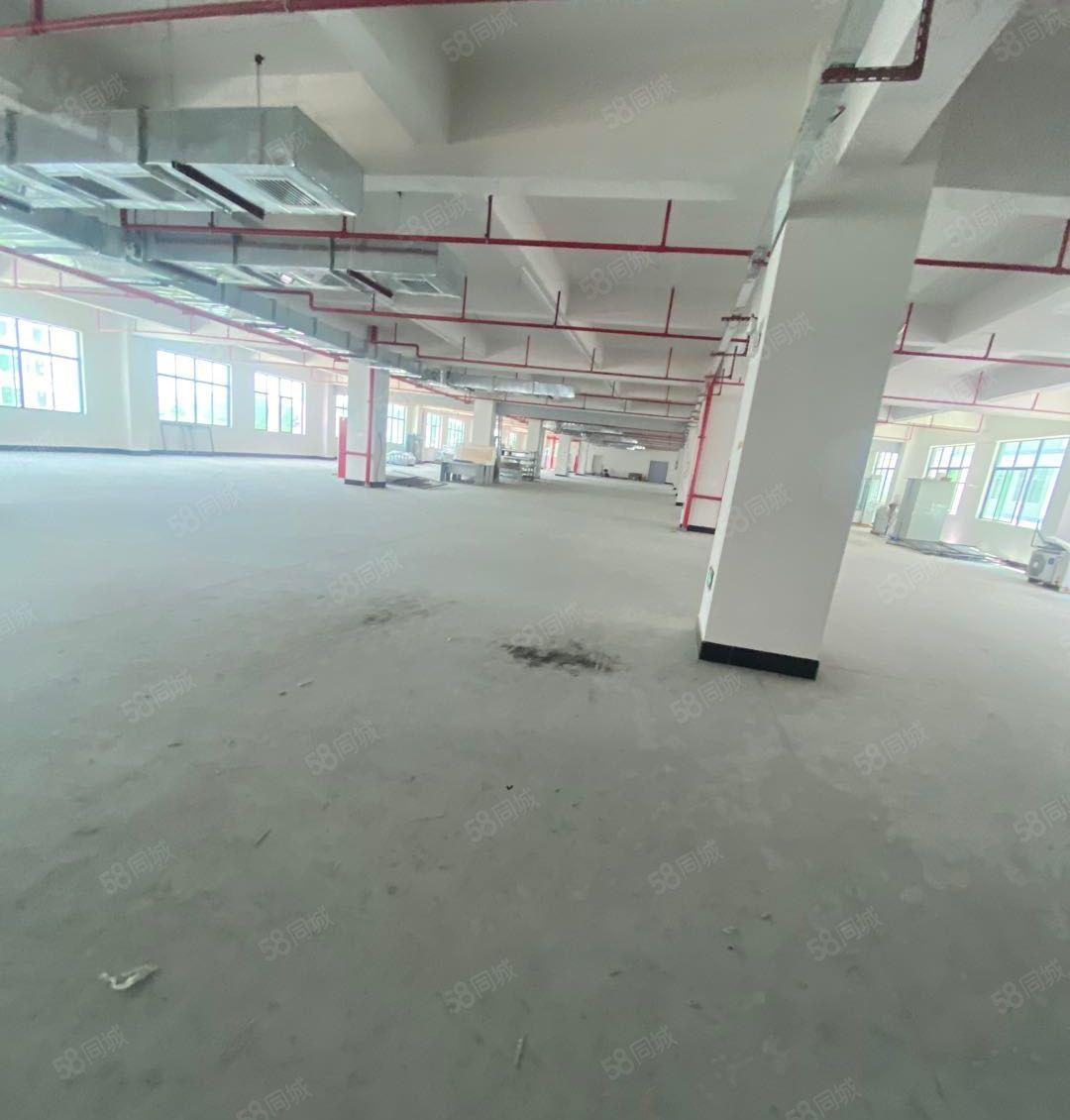 塘厦诸佛岭独门独院1400平厂房出租，价格便宜，