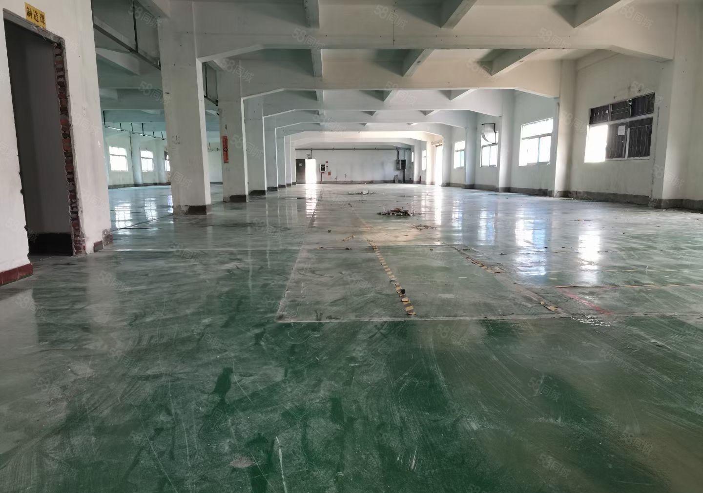 塘厦石潭浦一手房东独院厂房出租空地2000靠近高速出口