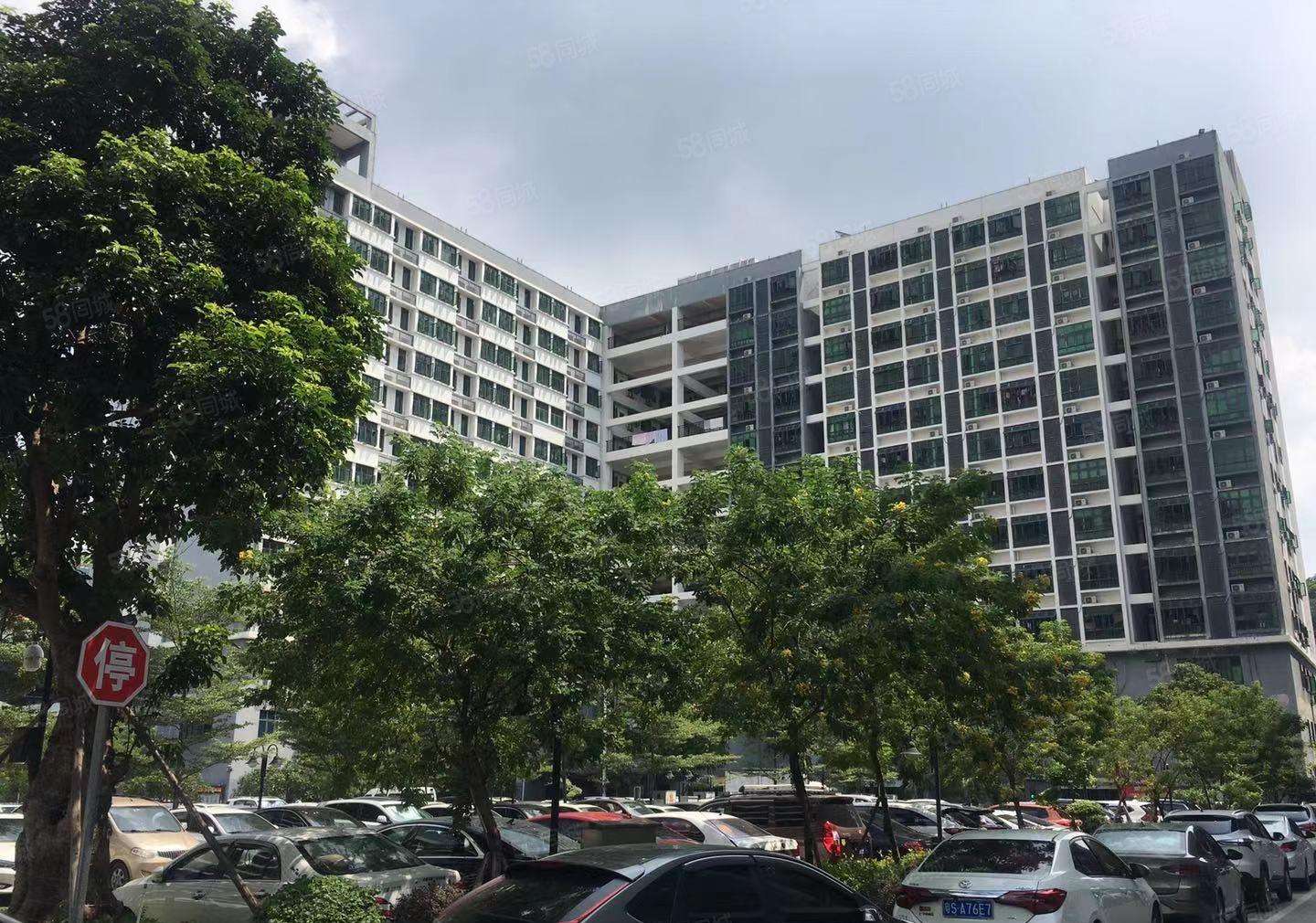 塘厦168新出6500平原房东厂房仓库出租，1000平起可分