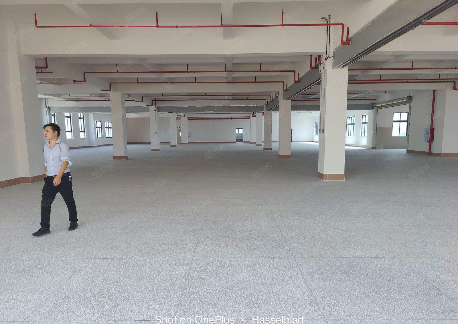 1000起租塘厦高速路口12万平电商物流园带卸货平台消防喷淋