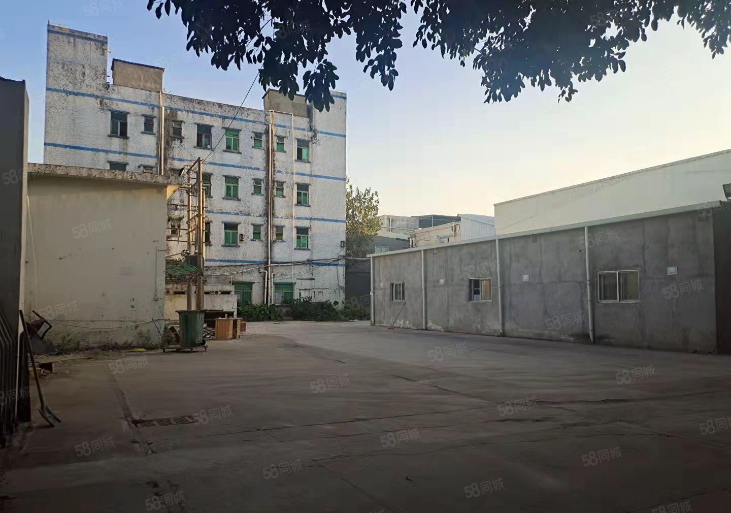 塘厦莲湖独院厂房出租8100平现成水电装修办公室基础设施齐全