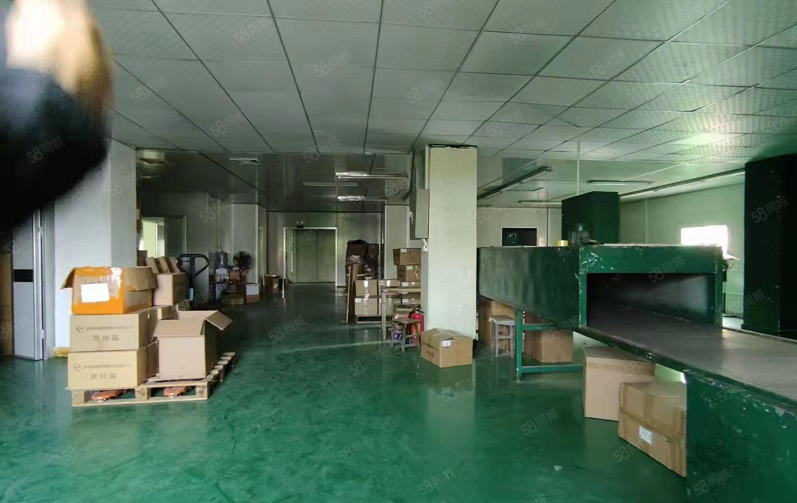 塘厦镇凤凰岗新出二楼560平米标准厂房出租