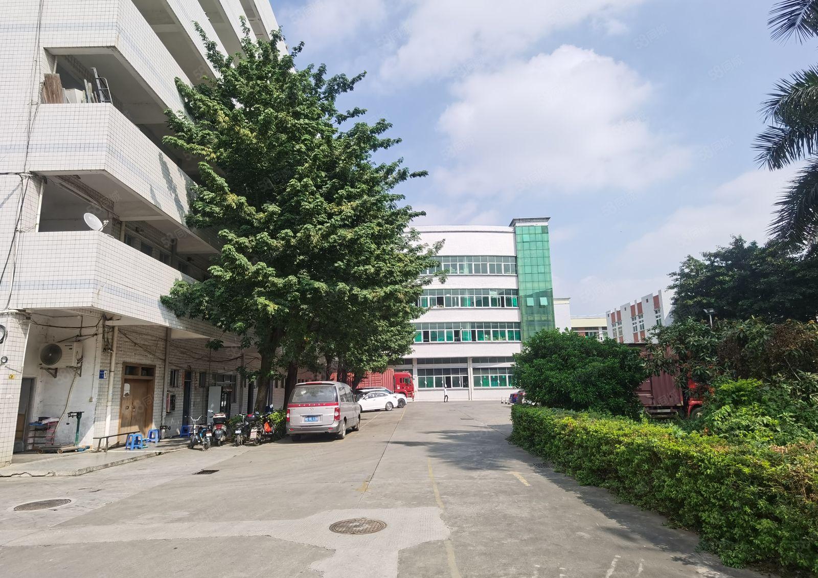 塘厦中心清湖头新出村委楼上一整层1800平带装修厂房仓库出租