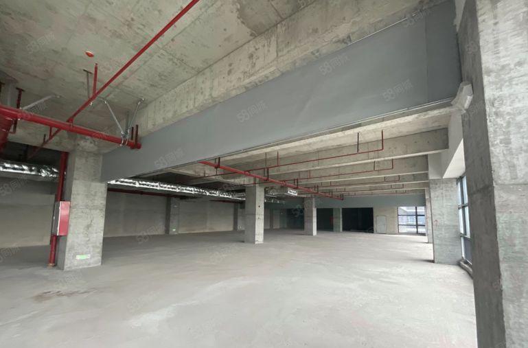 雁田京东智谷 新园区厂房大小面积招租 可做多行业环境好