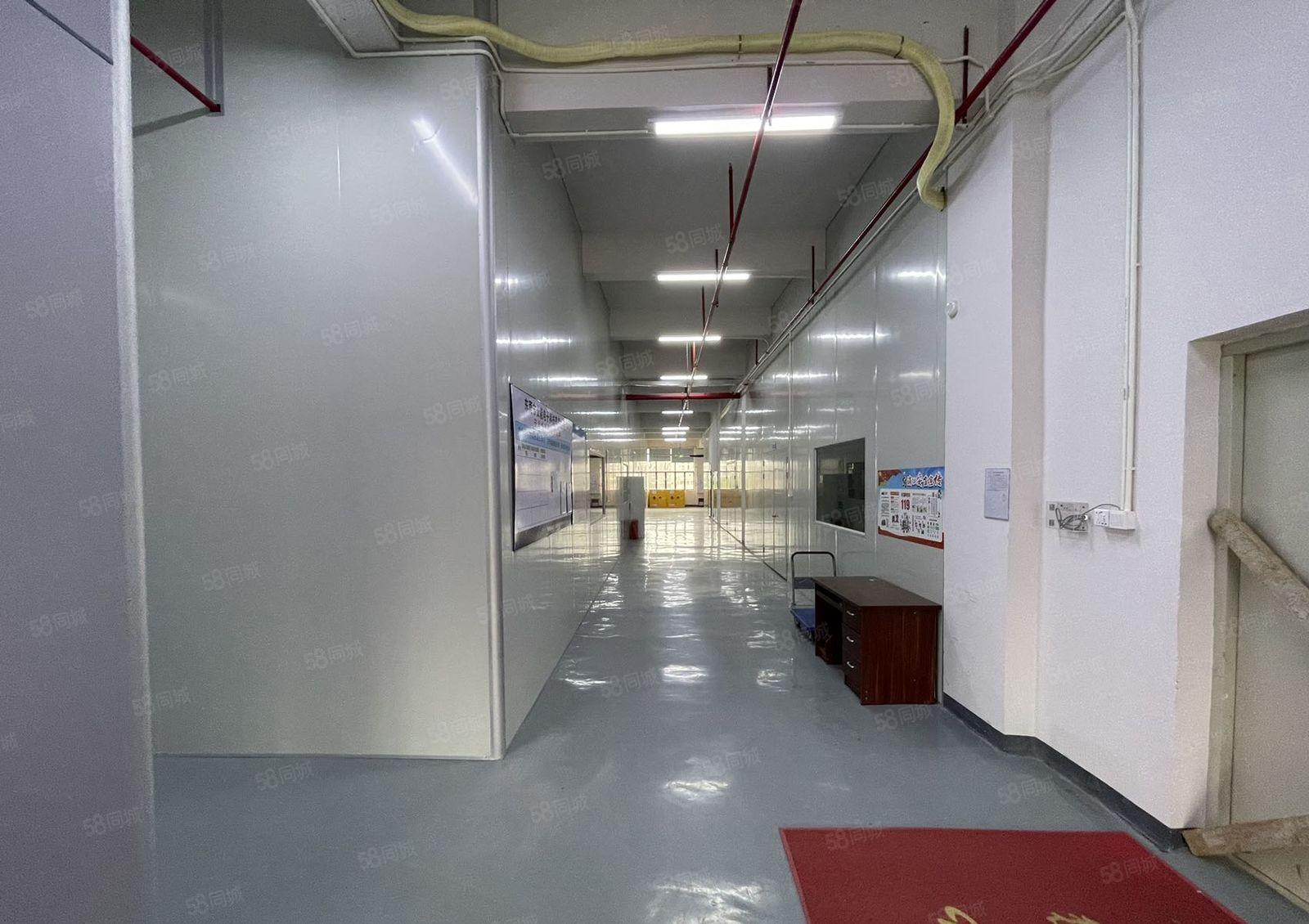 沙湖4楼标准厂房2950平方  货梯俩部俩吨 超大停车场