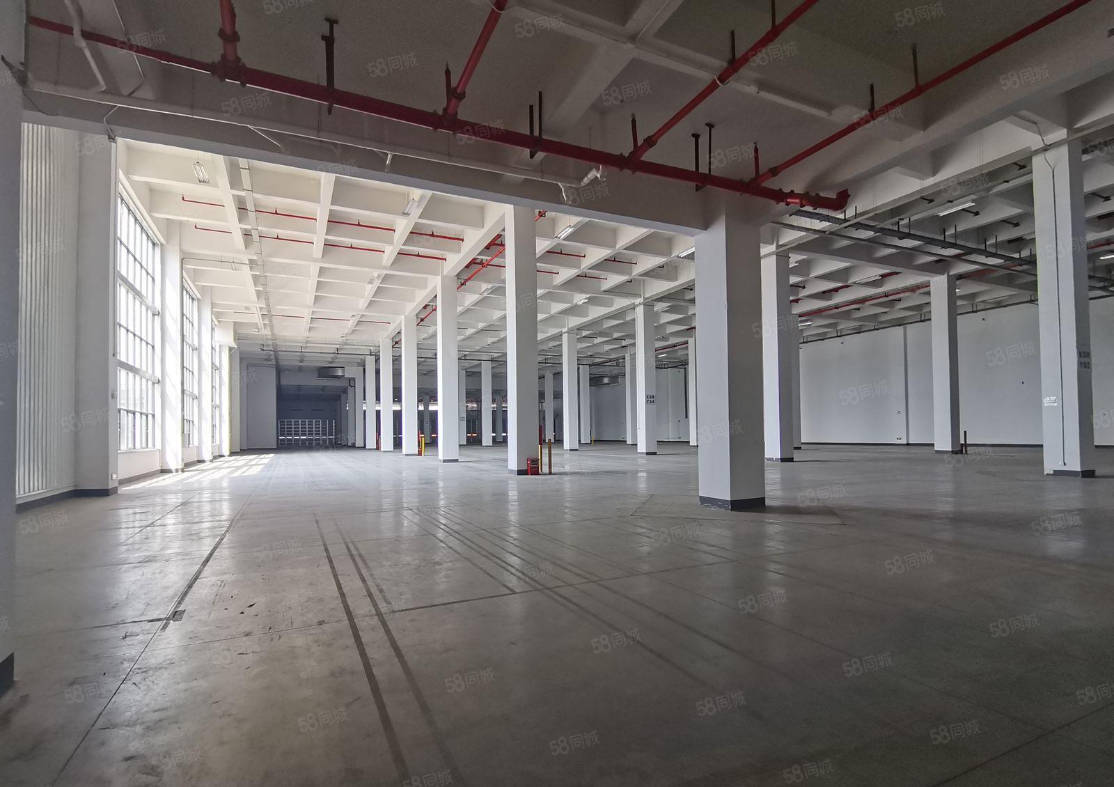 塘厦大坪高速独门独院2880平红本仓库厂房出租可分租可办环评