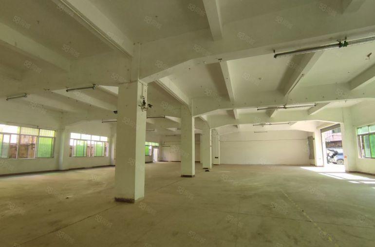 塘厦镇龙背岭村标准一楼800平方招租