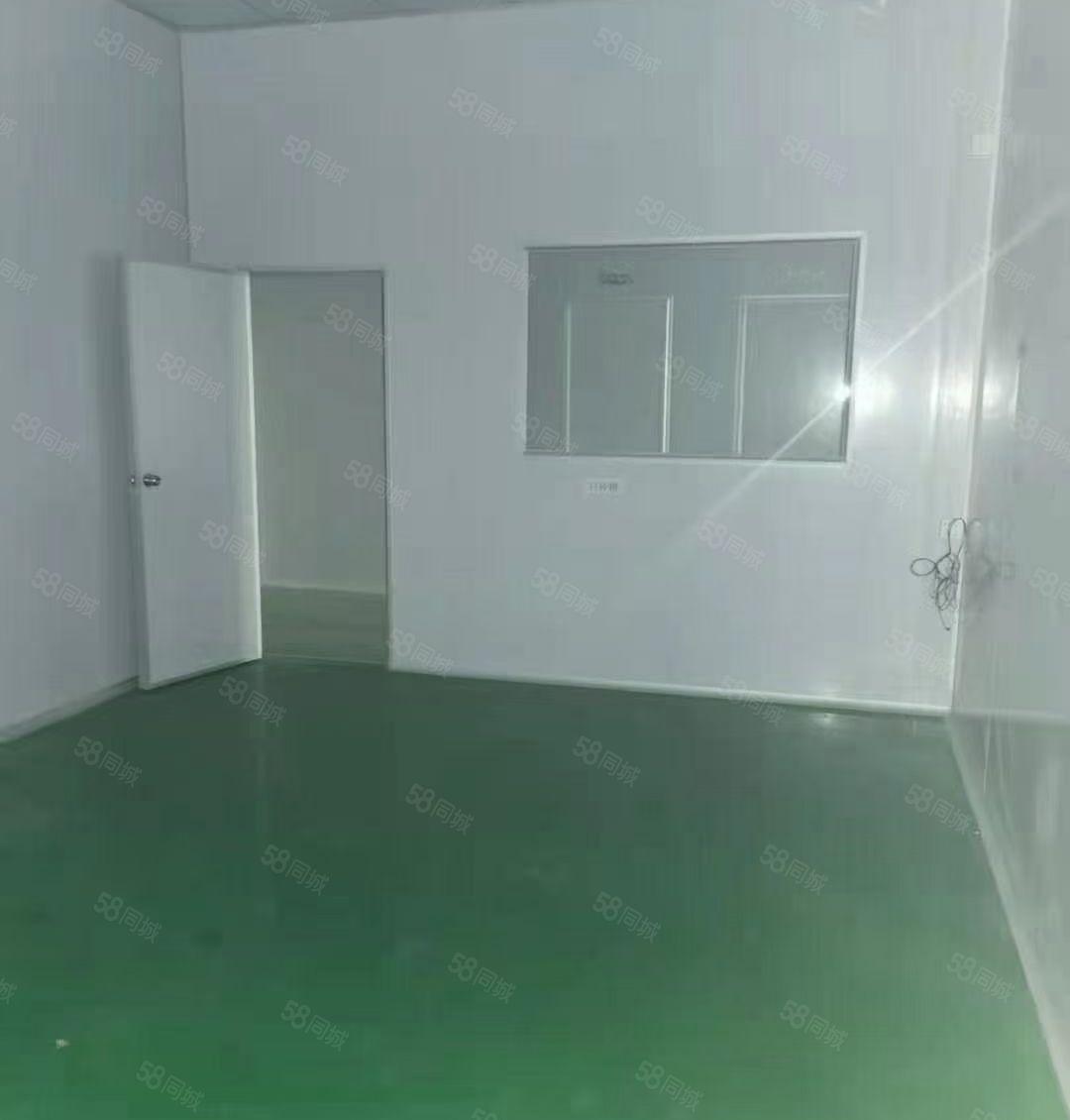 塘厦清湖头新出单一层10米高独院2100平方