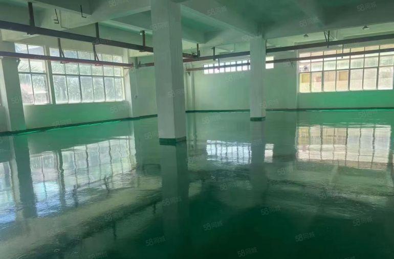 塘厦桥陇二楼450平全新地坪漆装修带航车，可做注塑胶带设备