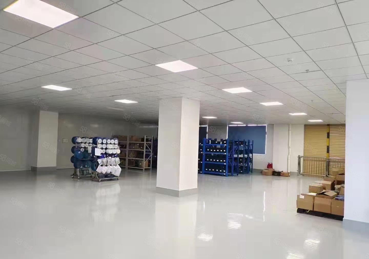 塘厦全新楼上厂房 原房东厂房急租15元每平 0公滩