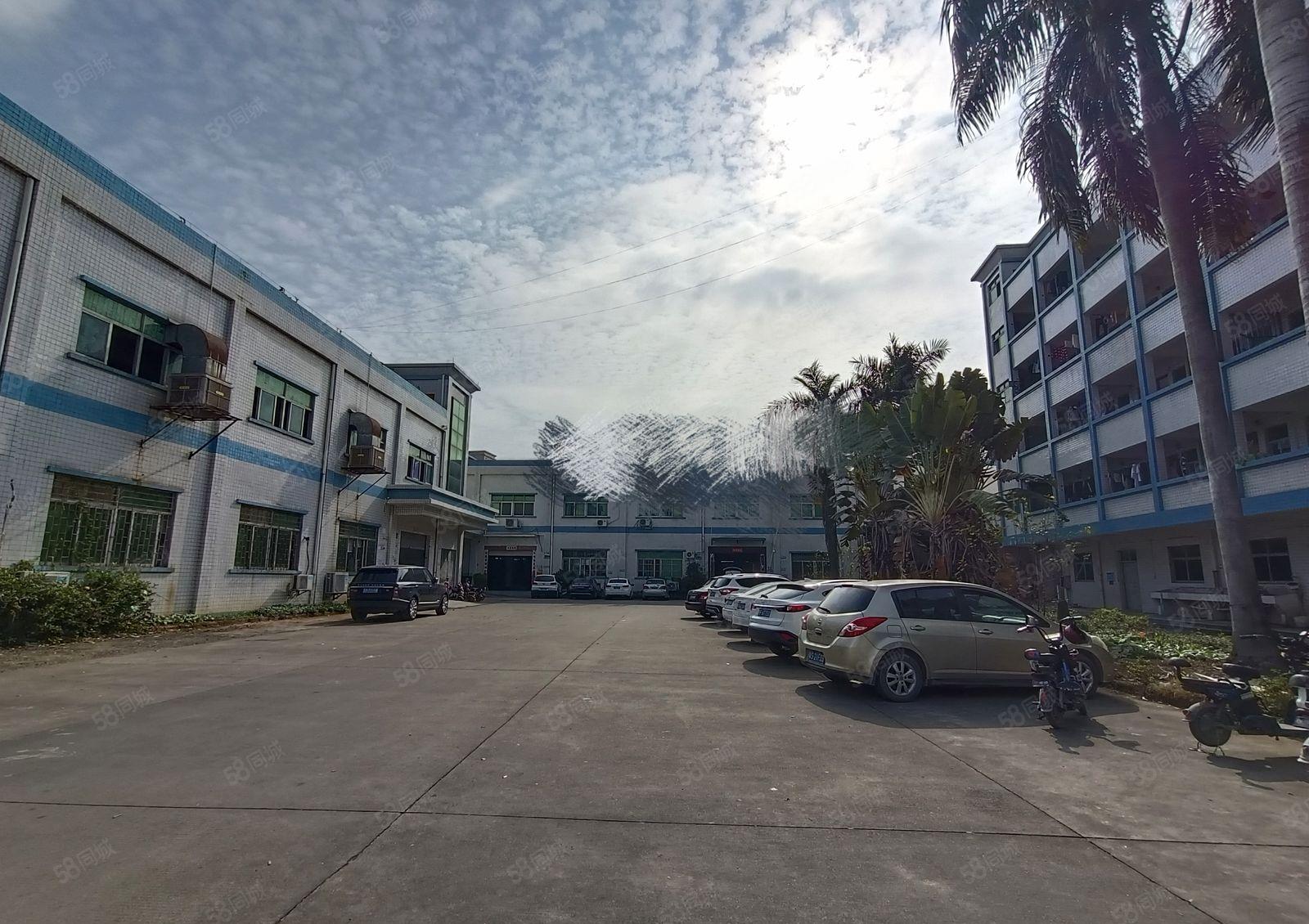 塘厦林村新出楼上1700平带精装修，水电齐全，可火抢