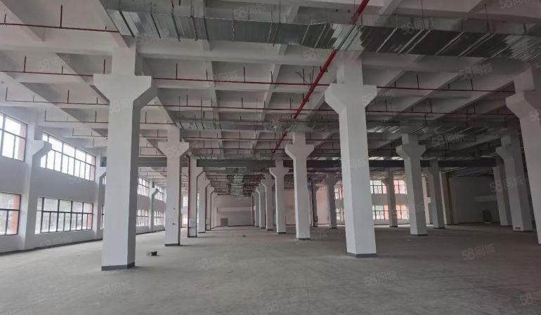 塘厦沙湖大型高端园区原房东实际面积含税出租49000平方可分