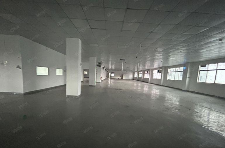 塘厦蛟乙塘独院标准4楼1680平方，全层吊顶地坪漆精装修！