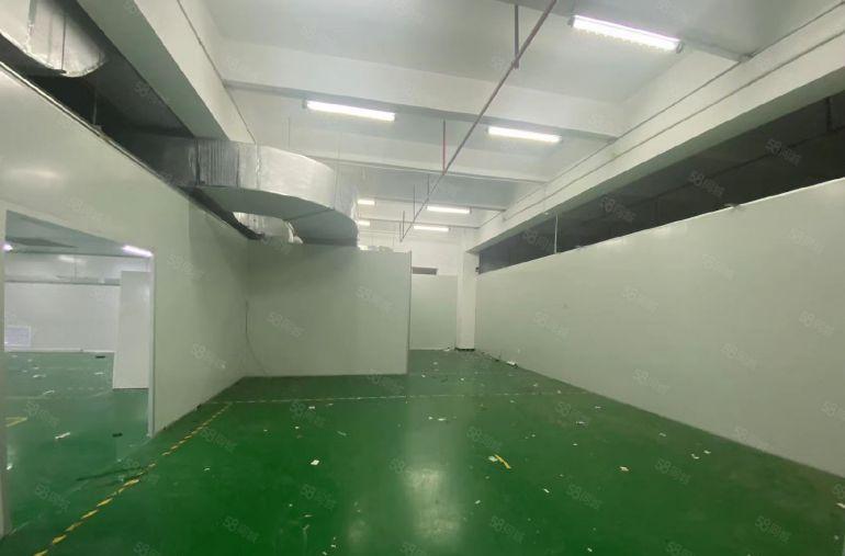 塘厦科苑新出楼上1200平无尘车间，带办公室装修，配5吨电