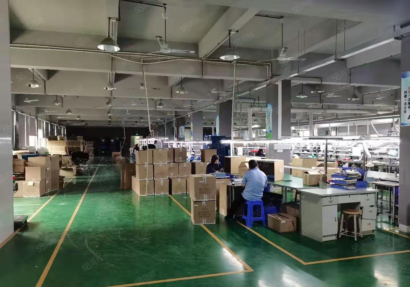 东莞市塘厦镇科苑城新出标准厂房4000平米出租