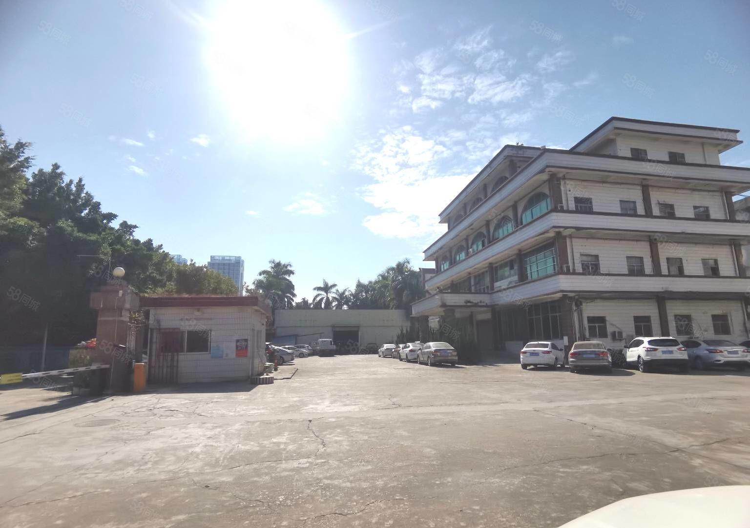 塘厦新出原房东厂房2650平，园区空地大，停车位充足