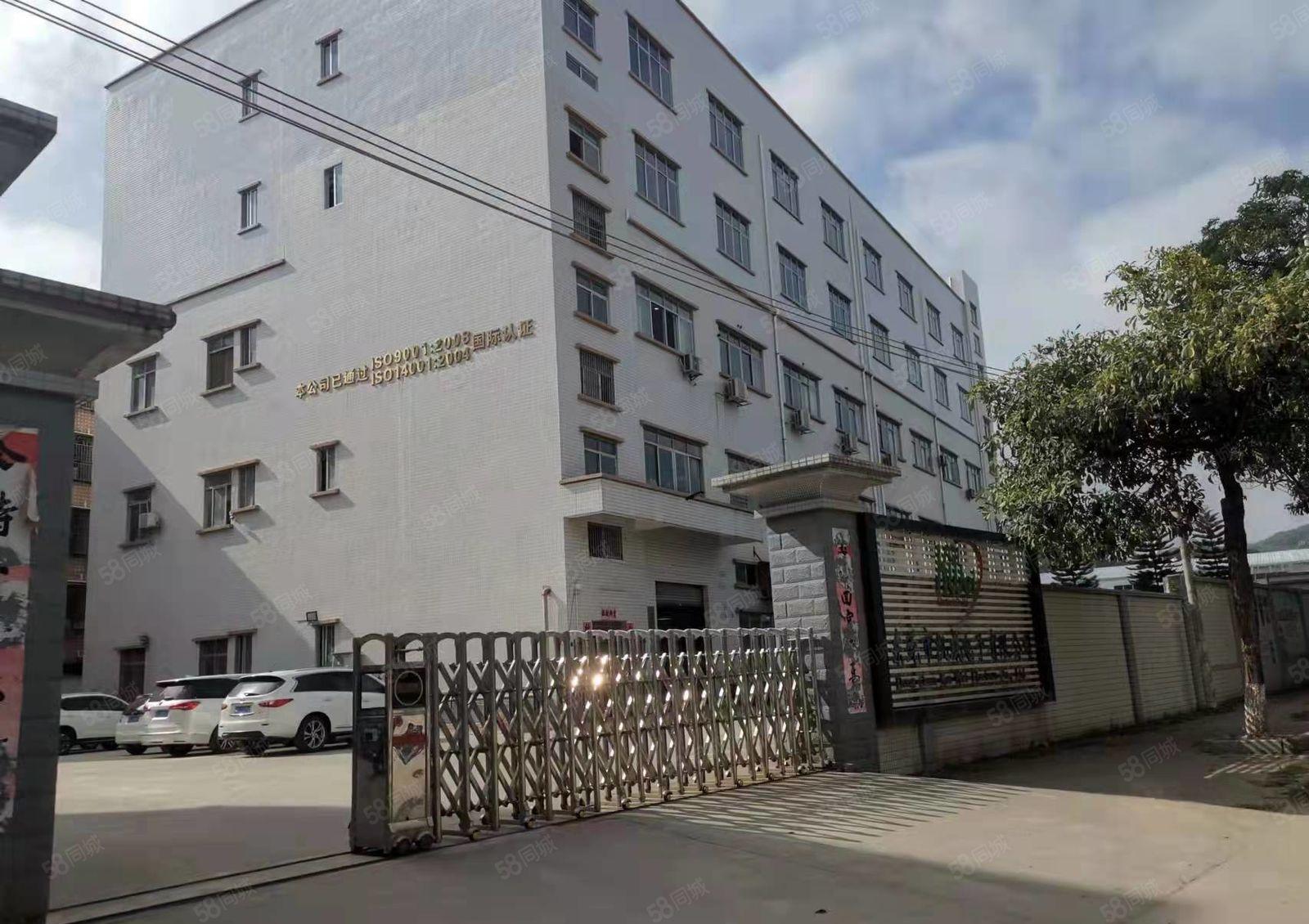 东莞市塘厦镇新出楼上厂房1680平米出租