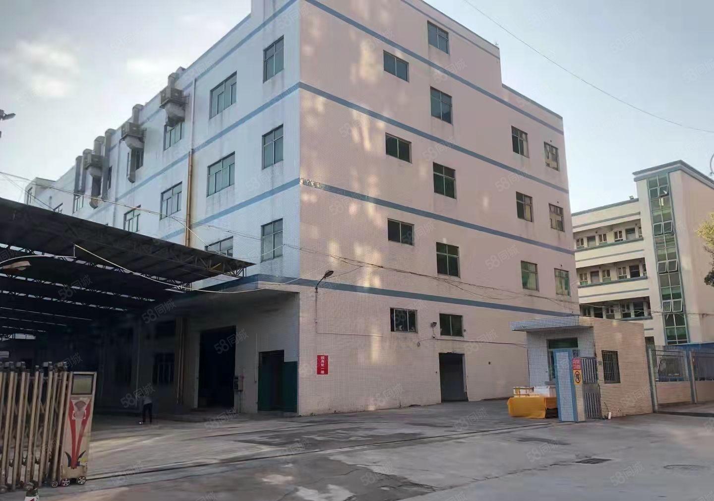 东莞塘厦新出标准厂房 楼上600平方出租