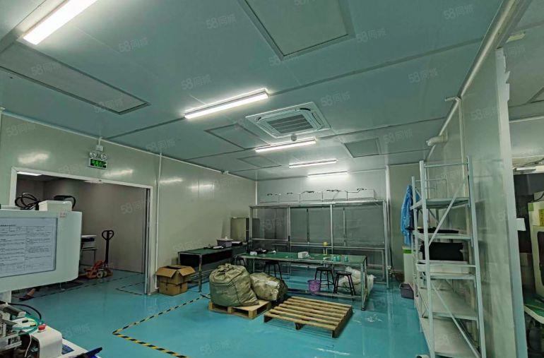 特价出租楼上520平无尘小面积 零公摊厂房 精装修 近高速口