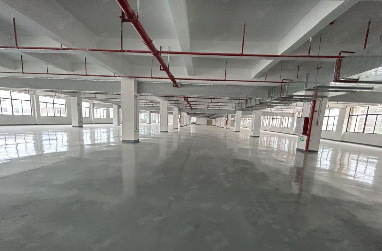 塘厦近深圳全新厂房15万平方！可做电池！大小可分租！