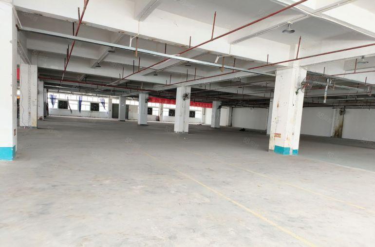 塘厦大坪厂房仓库出租带喷油喷粉环评，现成喷油线及丝印环评