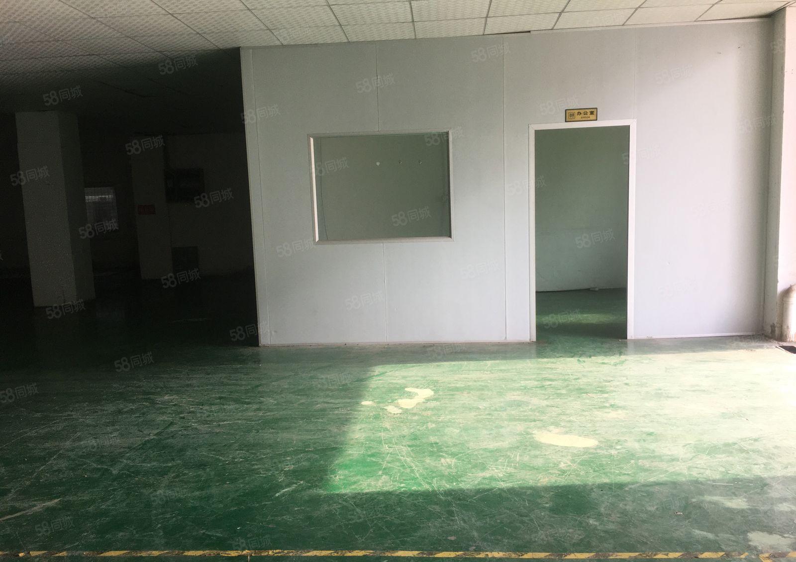 塘厦莲湖新出一楼400平方，带装修