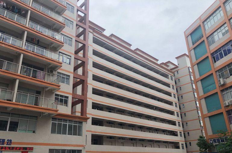 塘厦新出豪华装修1200平方原房东红本厂房