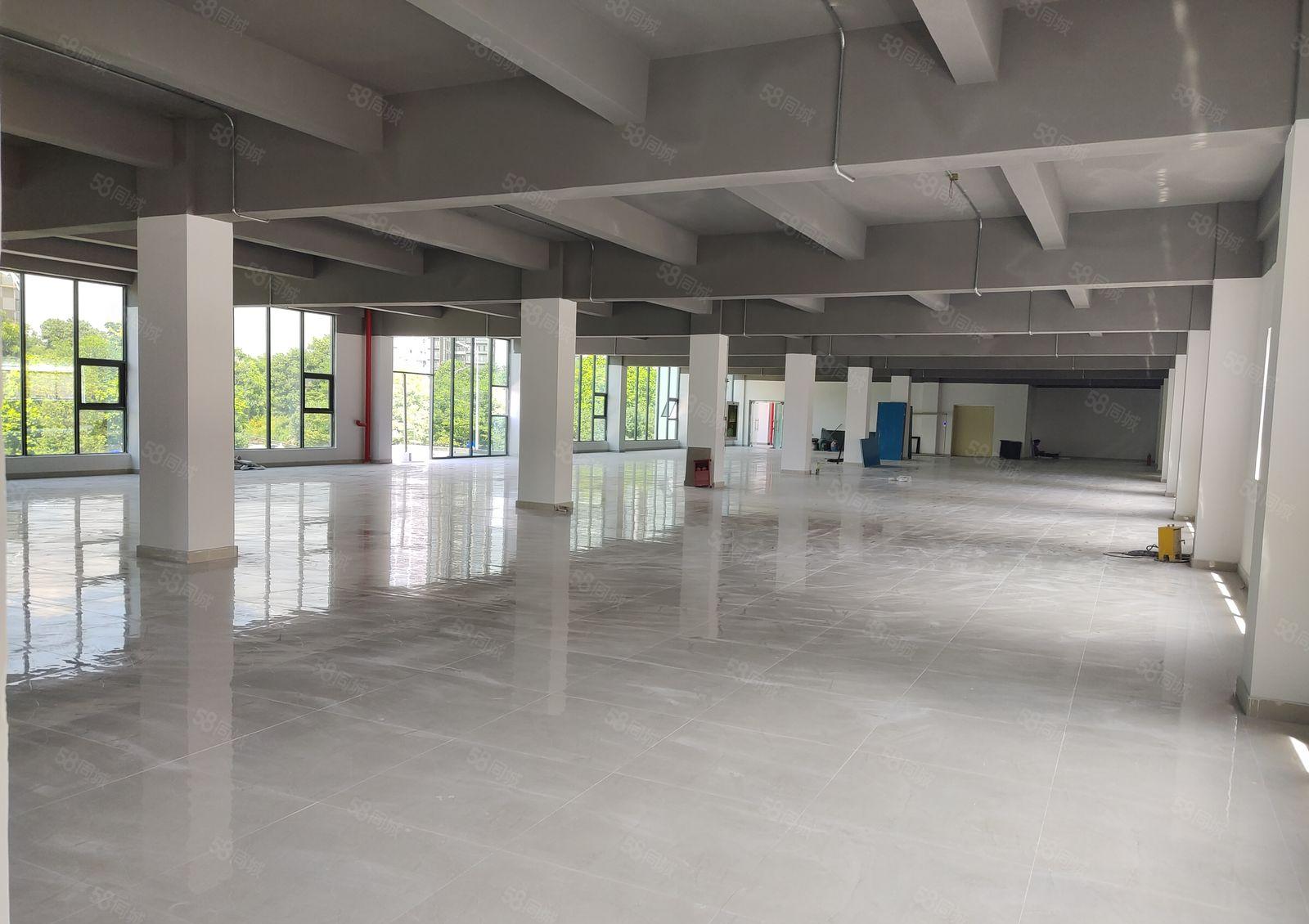 2百平起可出租，塘厦田心工业区独院1500平红本仓库厂房出租