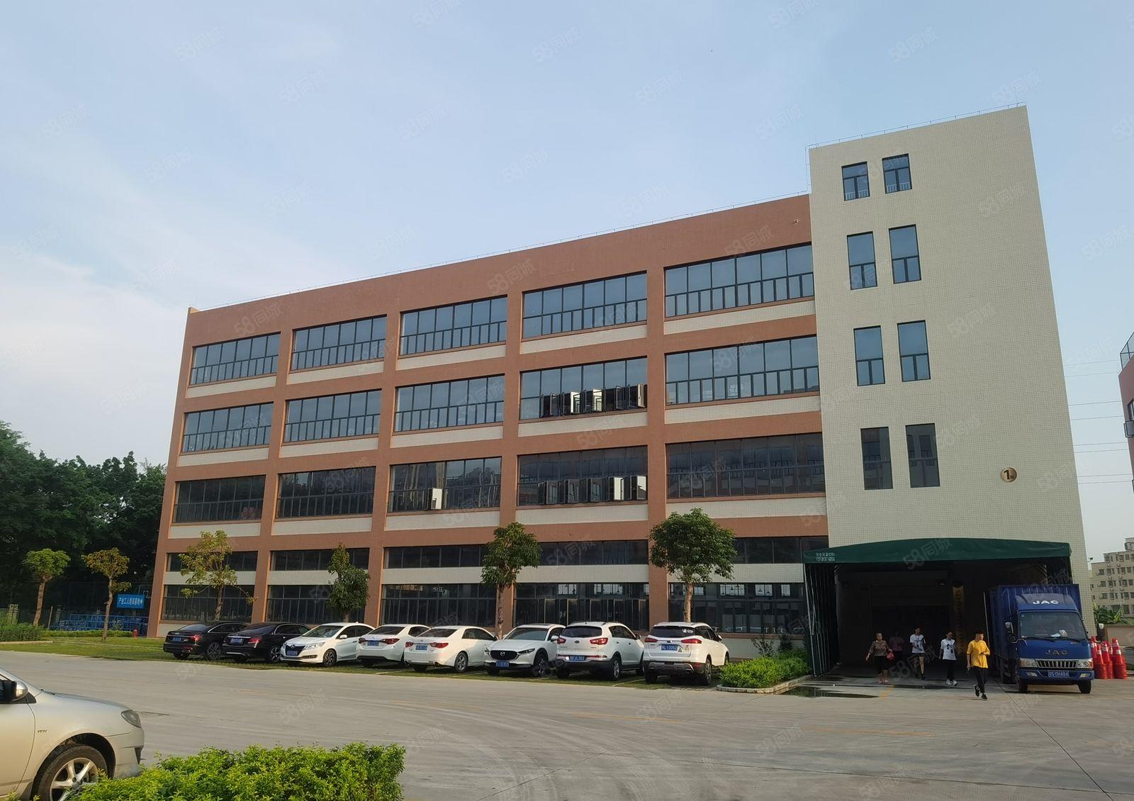 一手房东直租！塘厦科苑城新出红本独栋12000平厂房仓库出租