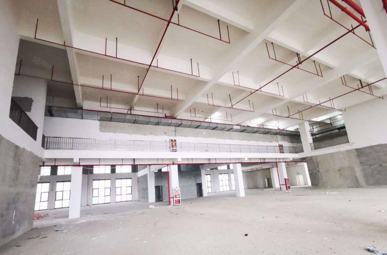 精装塘厦园区标准厂房出租2000平高10米全新装修现成办公室