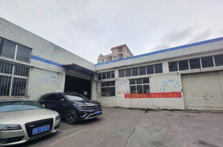 塘厦镇小独院，钢构1350平方，价格15元，高度9米，形象好