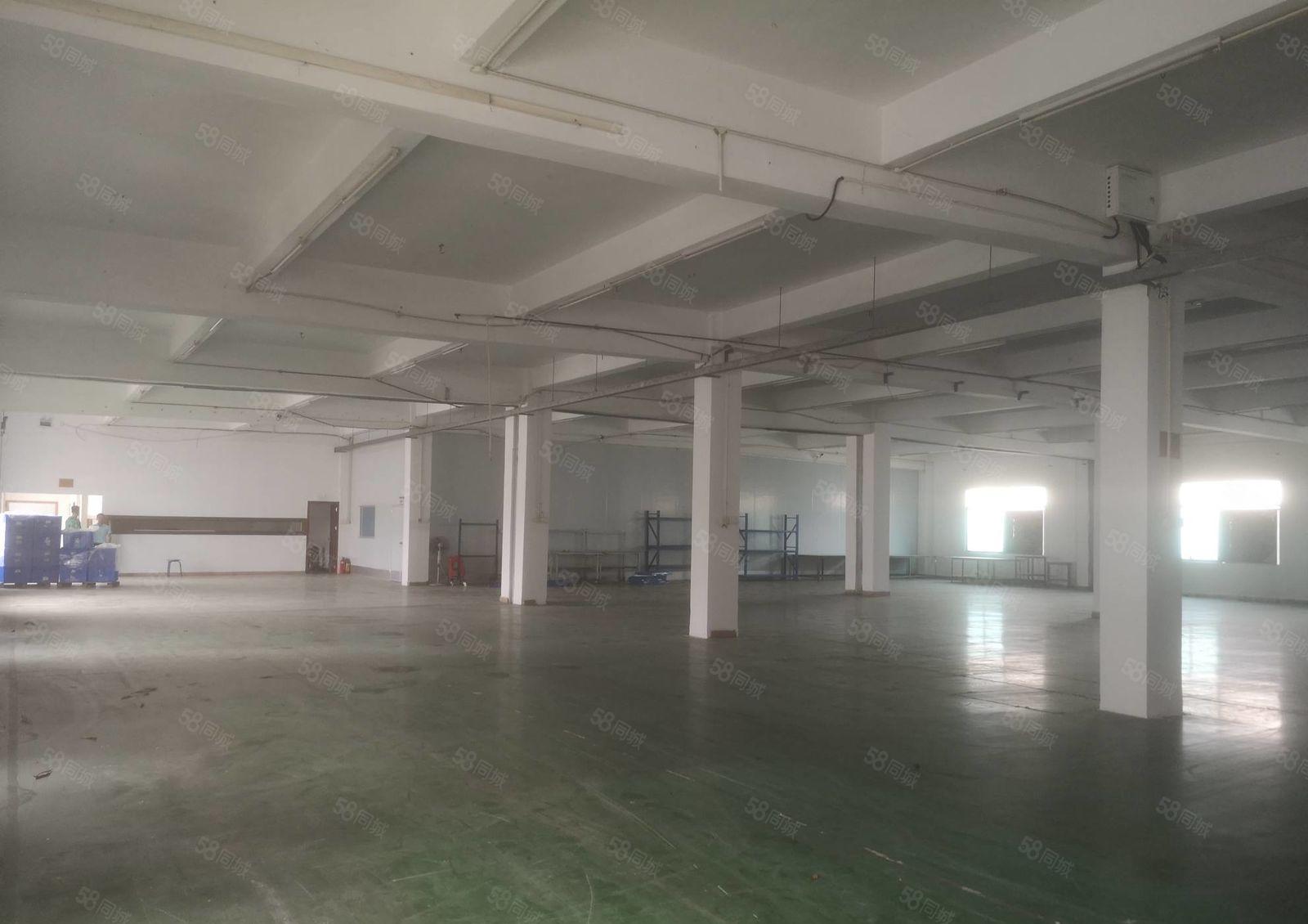 塘厦镇成熟园区 新出楼上1080平厂房出租 带装修空地大