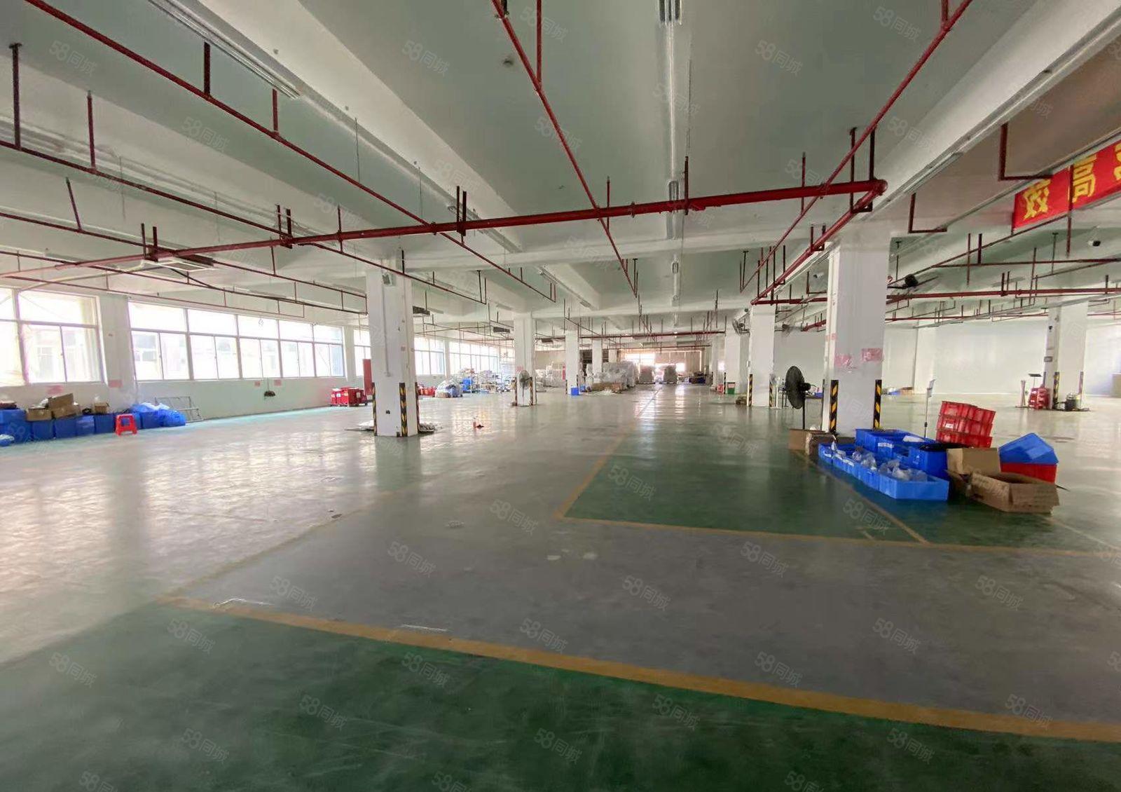 500平起塘厦林村工业园厂房仓库出租，带喷淋证件全水电到车间