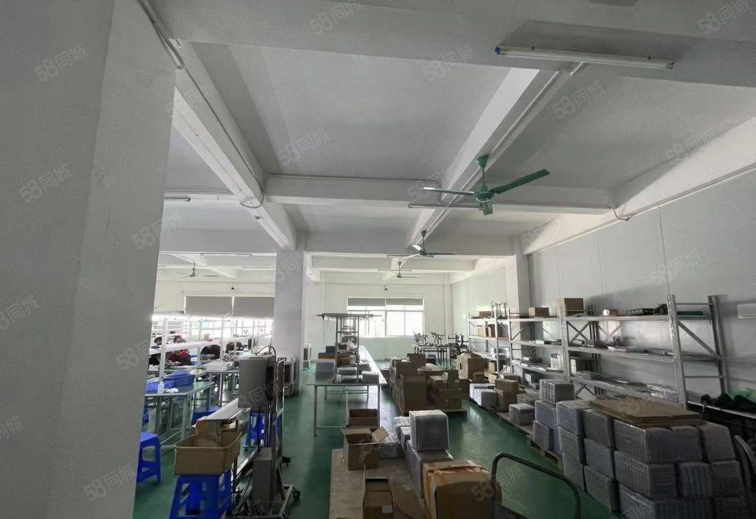 塘厦镇石鼓新出楼上480平米标准厂房出租