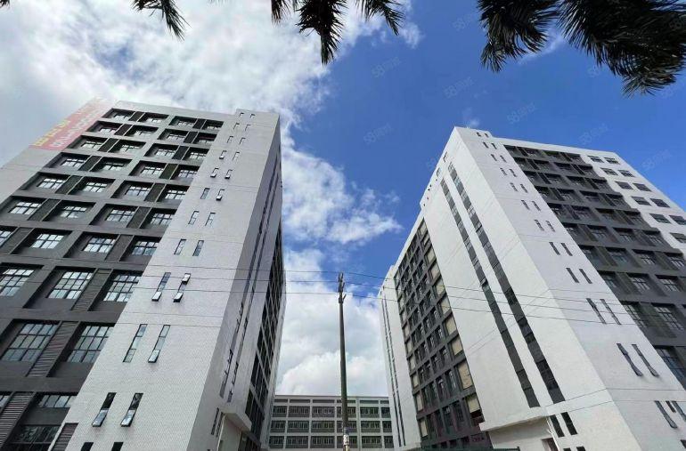 标准厂房出租 可整租 可分租