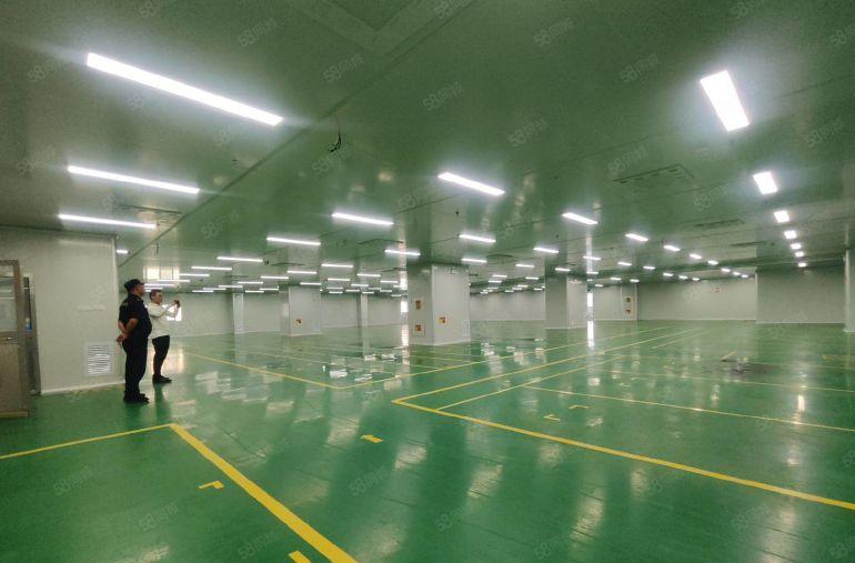 塘厦林村高速口2800平现成装修标准厂房，3吨货梯，大小分租