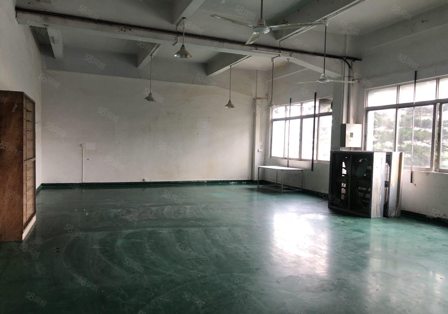 塘厦大坪高速口 原房东出租楼上450平现成精装修 无公摊