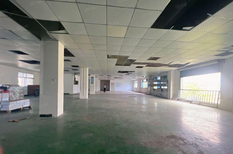 塘厦蛟乙塘标准3楼1000平，大气前台，现成吊顶地坪漆精装修