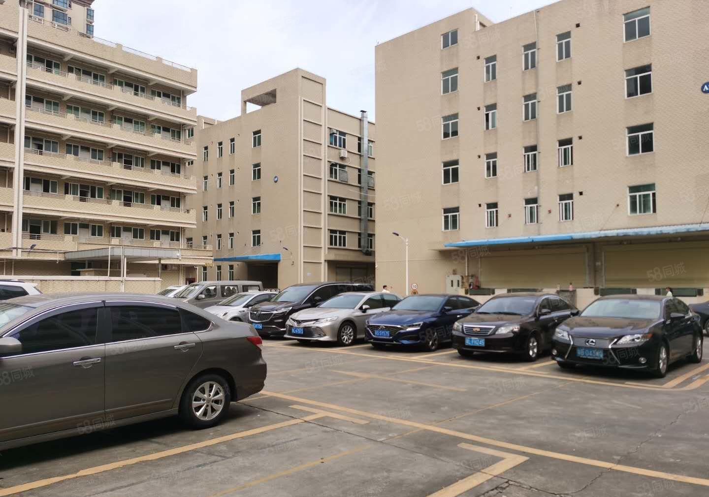 15元起租塘厦工业园区10000平厂房出租带红本可分租