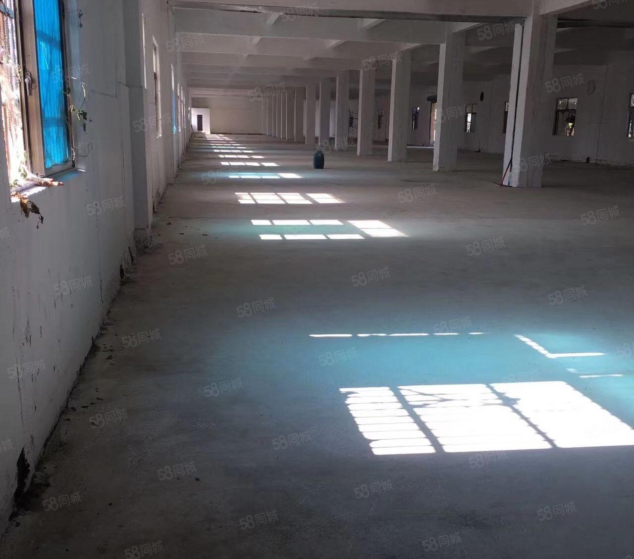 塘厦莲湖第二工业区独院单一层厂房5100平方