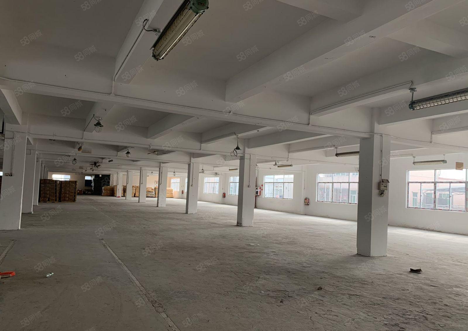 塘厦清湖头大园区楼上2300平整层出租，地理位置优越，绿化好