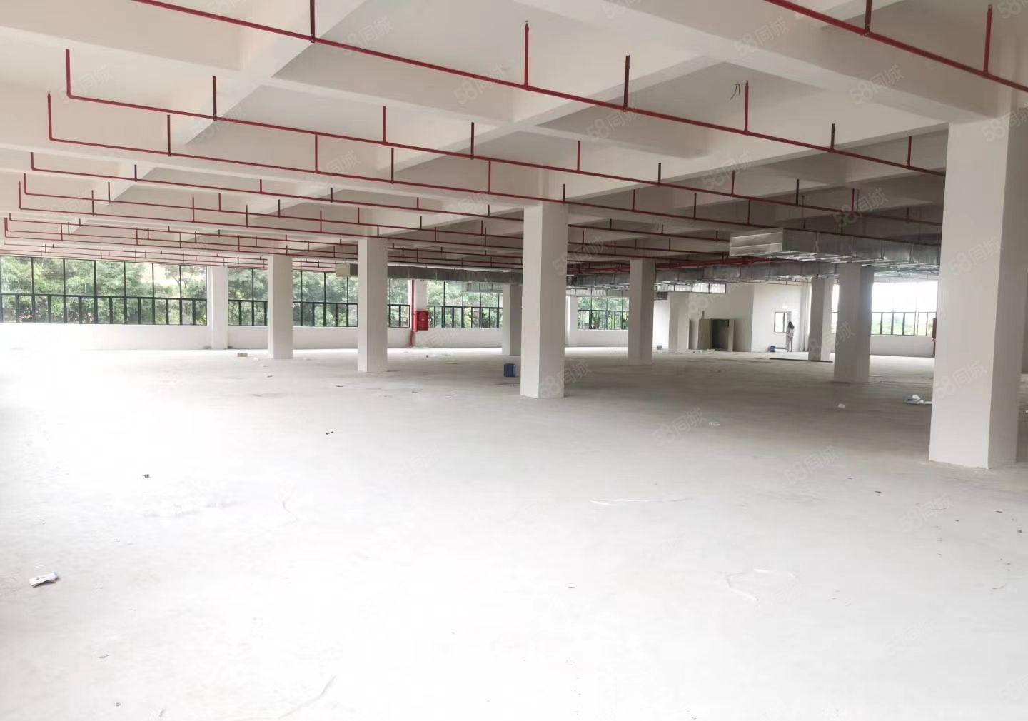 厂房出租 全新，每栋10800平米紧邻深圳共4万平米