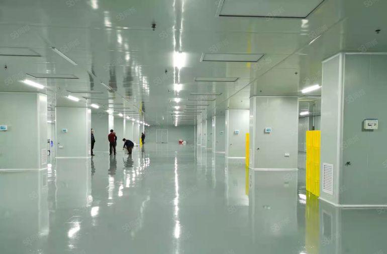 无尘车间！塘厦科苑城标准楼上3000平带装修厂房仓库低价出租