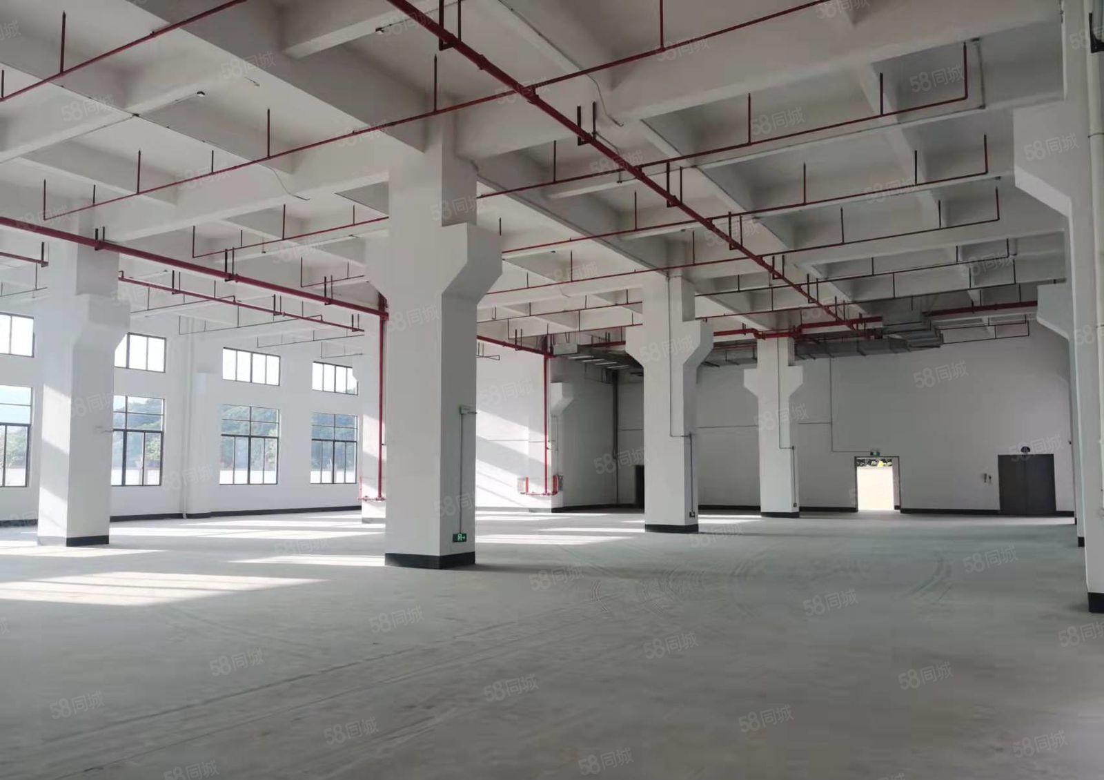 塘厦清湖头一楼6.5米高1500平带牛角可办环评厂房仓库出租