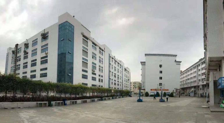 塘厦桥陇原房东直租楼上5000平，全新地坪漆精装修，消防合格