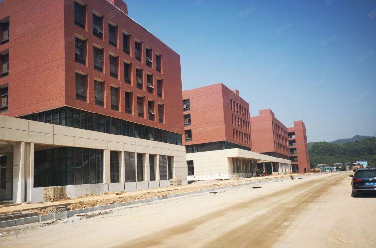 东莞塘厦35万平方红本厂房招商