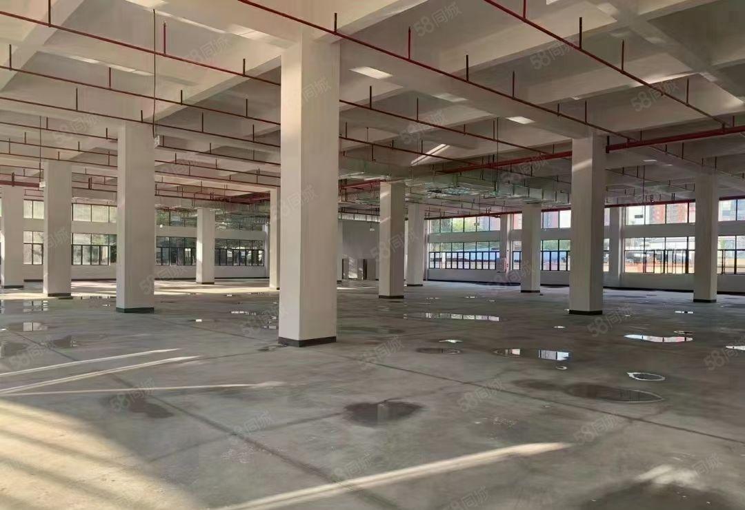 塘厦大坪高速出口科苑城高大上独院厂房11000平靠近深圳